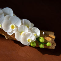 orchid arrangement candle