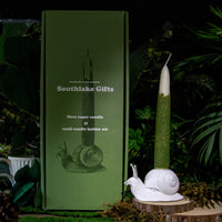 Moss Taper Scented Candle & Snail Candle Holder Set for Home Decoration Crafts Arts