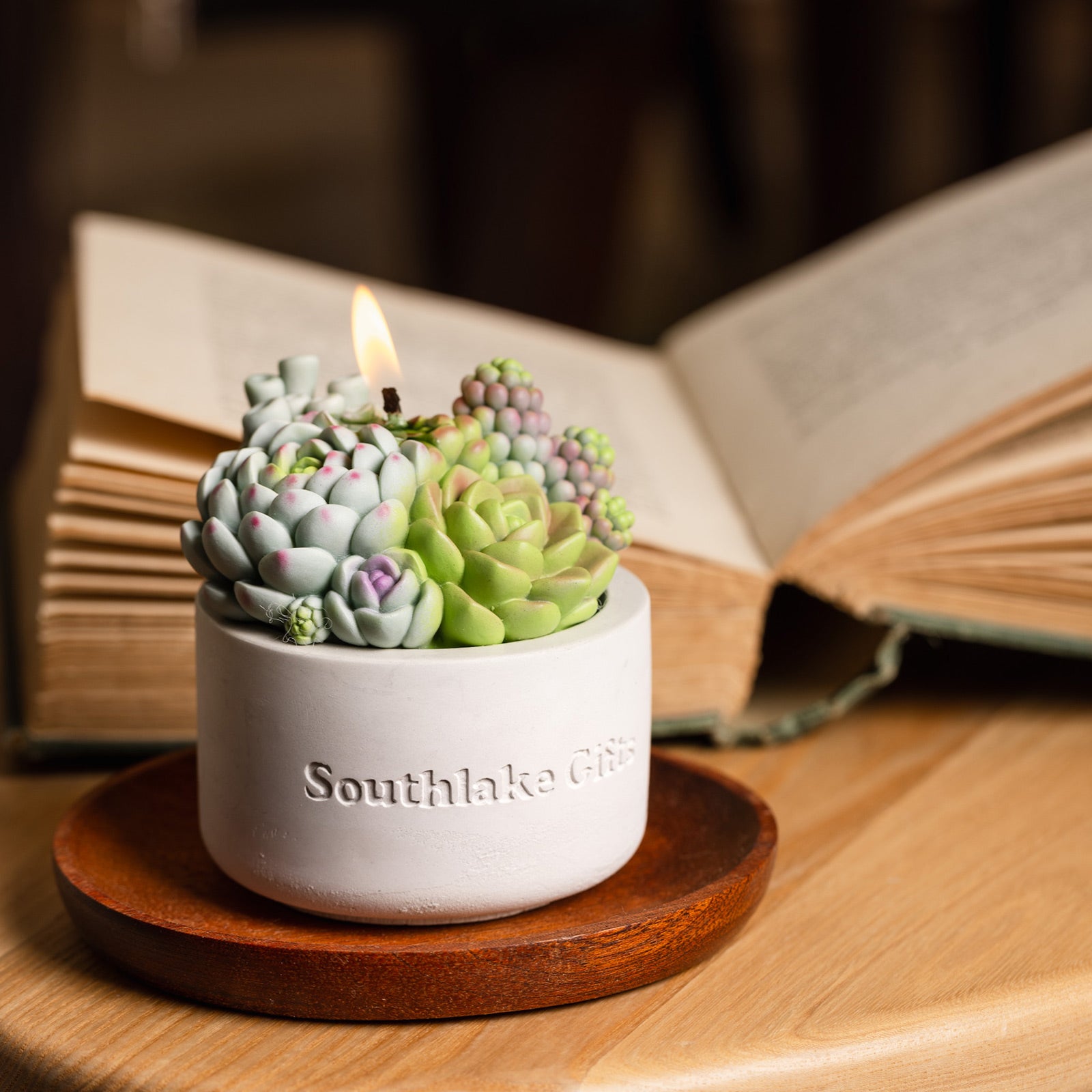 candlestick succulent Assorted Succulent Candle With Concrete Vessel