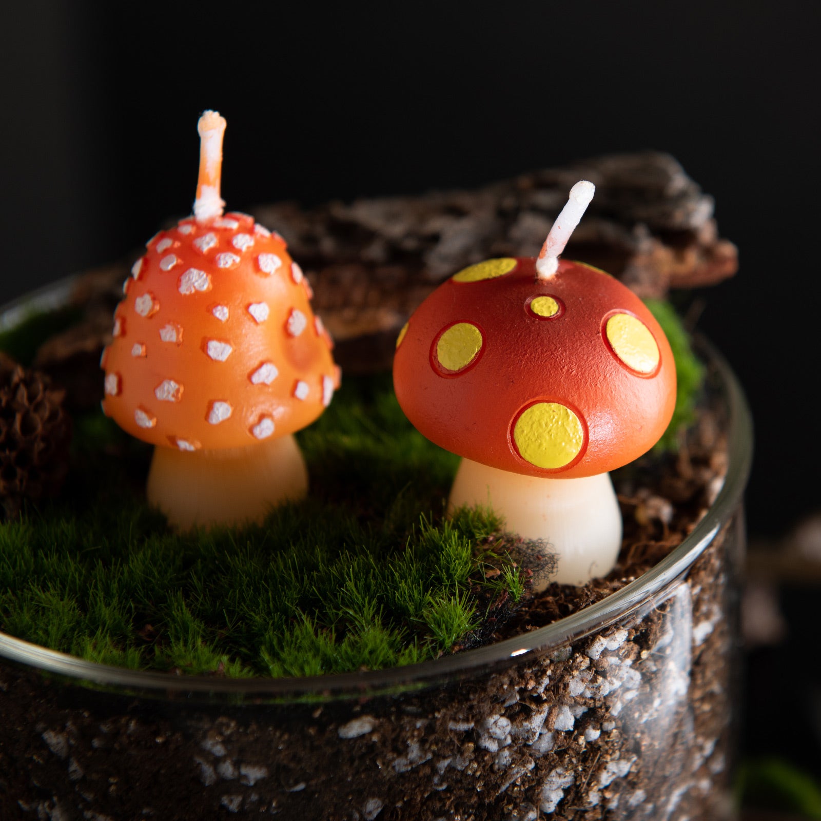 Mini Mushroom Candle Set. Southlake Gifts