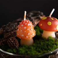 Southlake Gifts Mini Mushroom Candle Set placed in moss and woodland terrarium decor, featuring two miniature mushroom candles inspired by cottagecore forest decor, a whimsical novelty candle set perfect as cake topper candles, birthday gifts, fairy garden decor, and gifts for mushroom lovers.