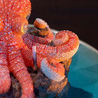 Close-up look at Handmade Octopus Candle tentacle details, hand-painted wax marine décor candle with sea salt scent on rocky reef base and plate