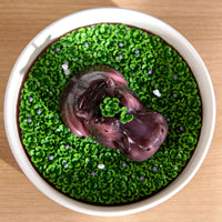 Handmade Hippo Candle overhead shot, hippo emerging from green wax pond in bowl, floral moss scented whimsical décor piece