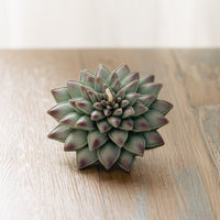 The beauty of Realistic Succulent Candle from Southlake Gifts.