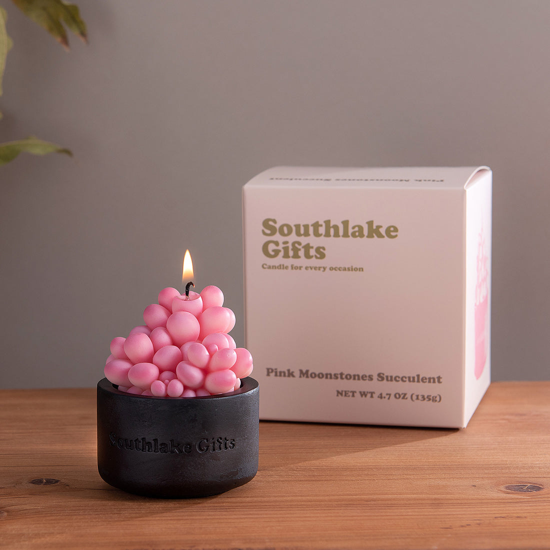 Pink Moonstones Succulent Scented Candle