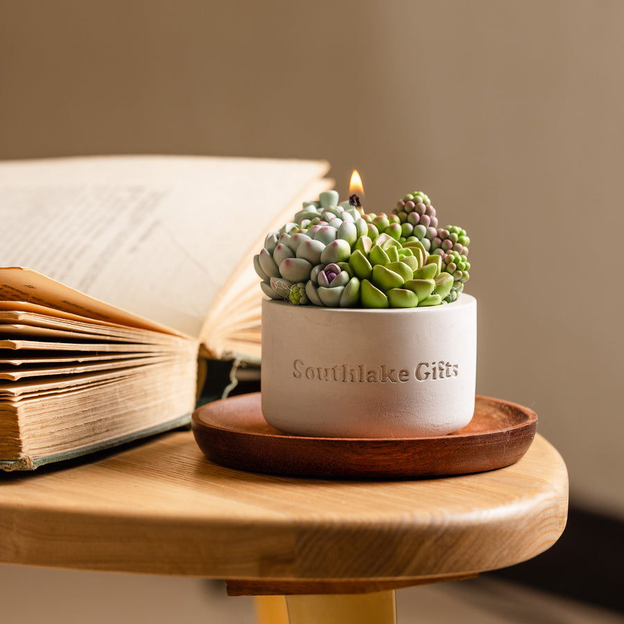 succulent candle plant Succulent Candle with Concrete Vessel