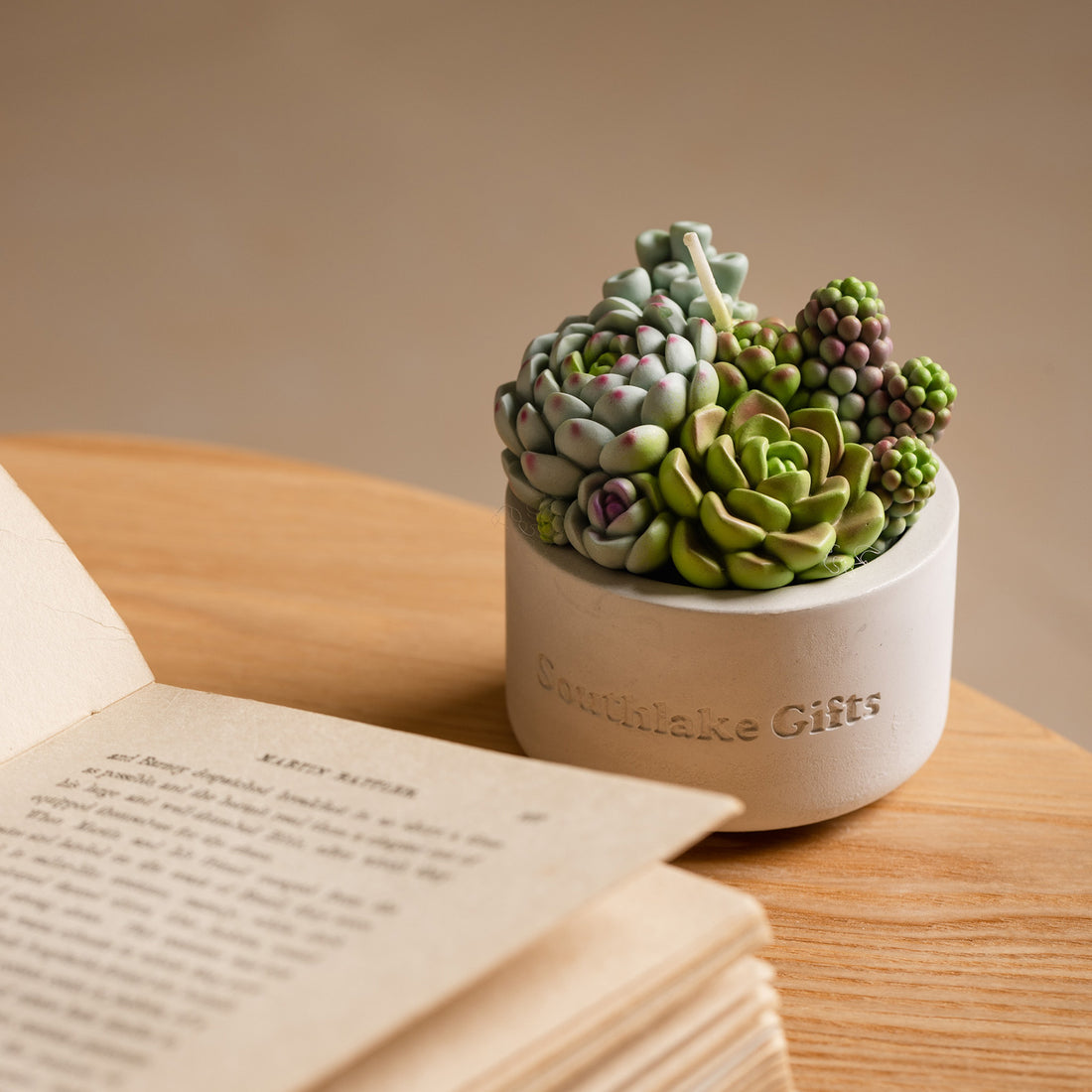 candle succulent class Succulent Candle with Concrete Vessel