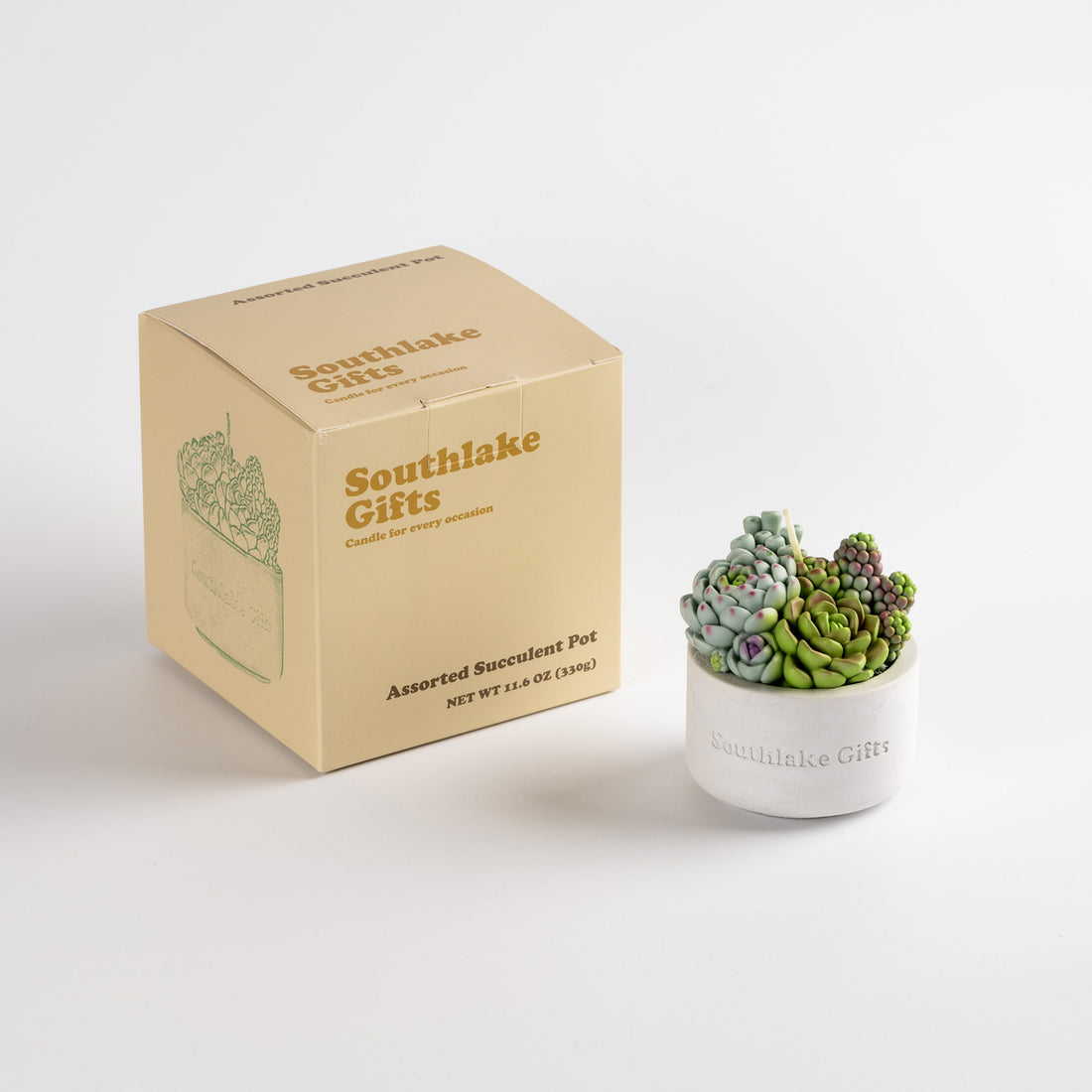 succulent packaging Succulent Candle with Concrete Vessel