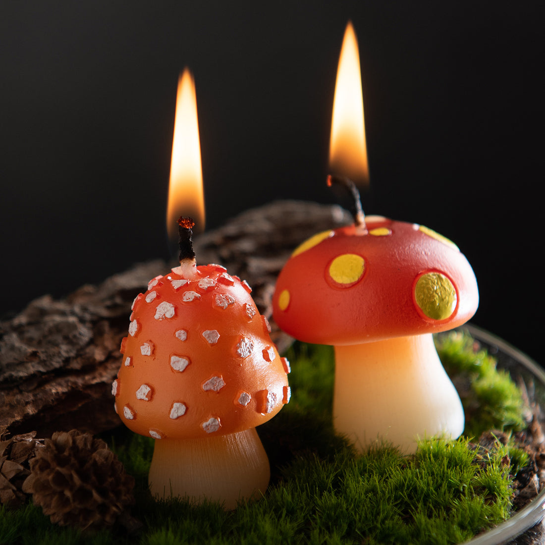 Southlake Gifts Mini Mushroom Candle Set burning inside a woodland terrarium with moss and bark, featuring two tiny mushroom candles creating a cozy cottagecore mushroom decor scene, a whimsical novelty candle perfect as a birthday gift, cake topper candle, or gift for mushroom lovers.