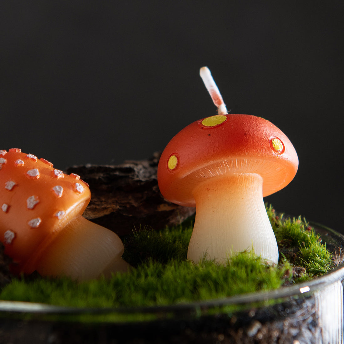 Close up of a Southlake Gifts mini mushroom candle with red spotted cap sitting in moss terrarium decor, a tiny cottagecore mushroom candle designed as whimsical home decor, novelty gift, birthday cake topper candle, and unique gift for mushroom lovers and woodland decor fans.