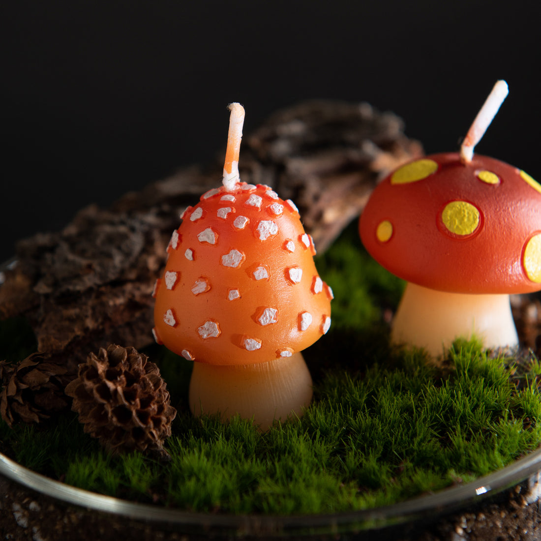 Southlake Gifts Mini Mushroom Candle Set placed in moss and woodland terrarium decor, featuring two miniature mushroom candles inspired by cottagecore forest decor, a whimsical novelty candle set perfect as cake topper candles, birthday gifts, fairy garden decor, and gifts for mushroom lovers.