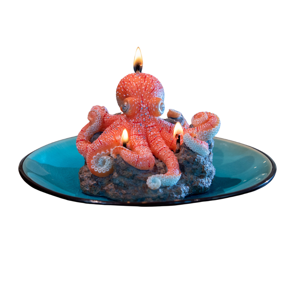 Southlake Gifts Octopus Candle lit, handmade sea-salt scented marine animal candle with rocky reef wax base on blue ceramic-style plate