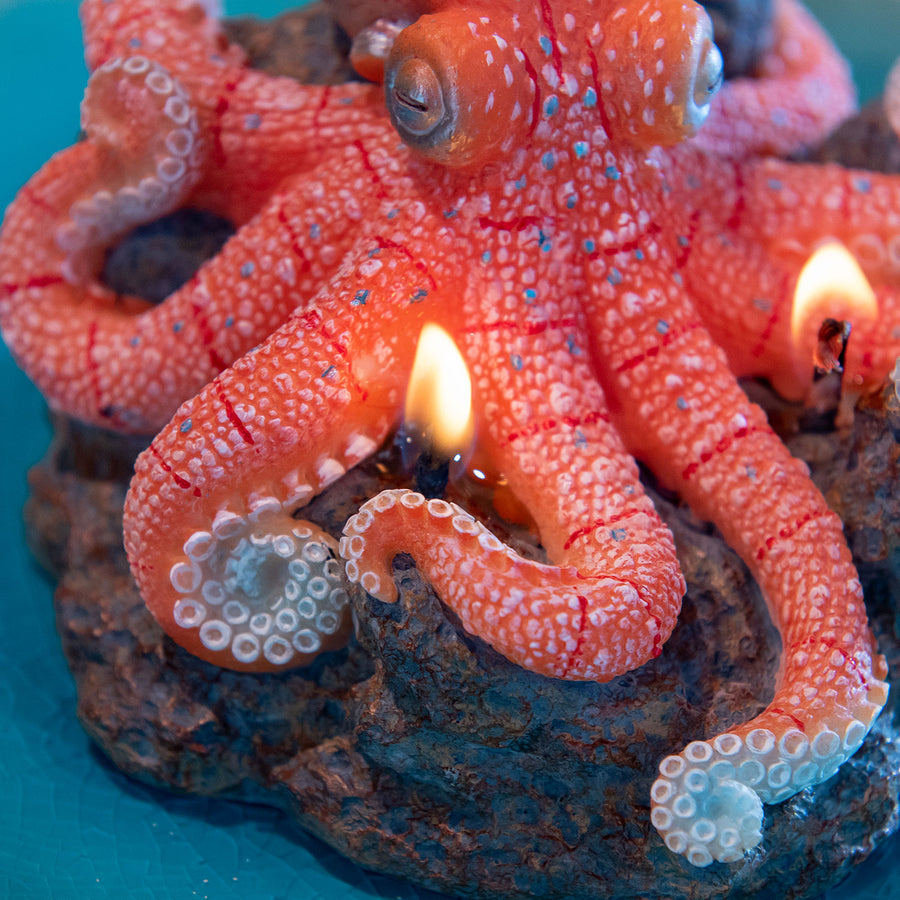 Octopus Candle on ceramic-style plate, handmade hand-painted marine candle with sea salt scent, beach house décor gift-ready