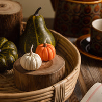 White pumpkin close-up: Southlake Gifts Pumpkin Candle Set – Orange & White Mini Pumpkins, focus on ivory pumpkin candle with textured ridges.