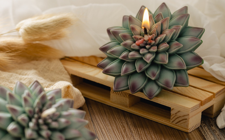 Chose the Succulent Candle to brighten your home.