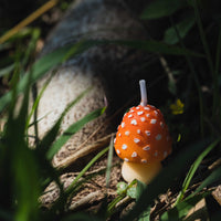 Bringing great Mini Mushroom Candle  to decoration for your home.