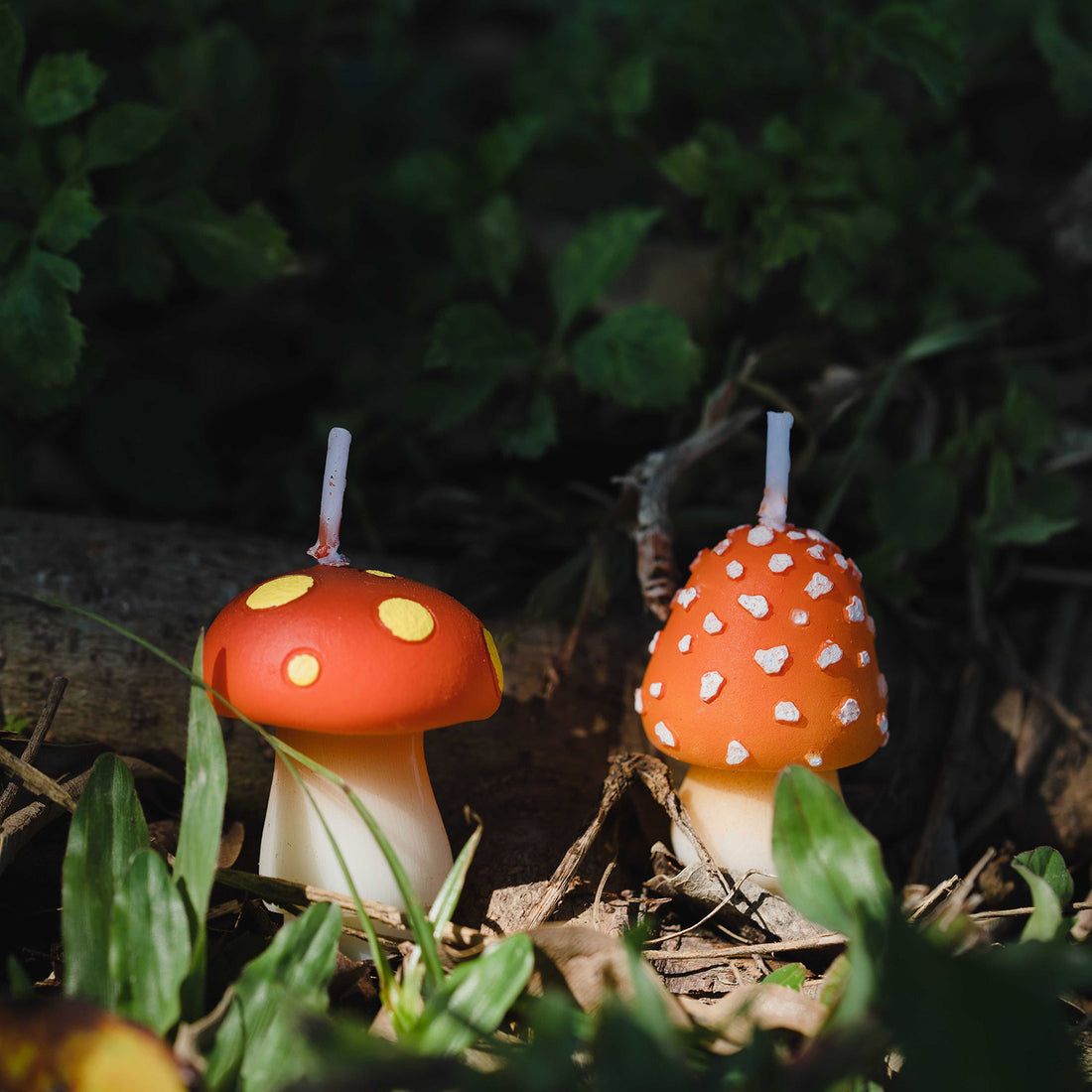 Mini Mushroom Candle Set – Southlake gifts