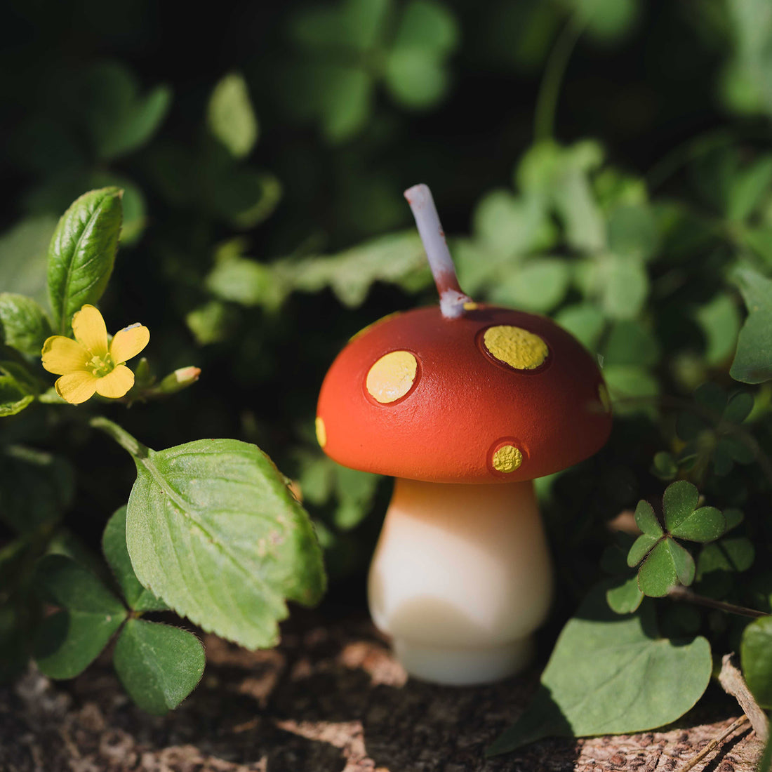 Innovate stylish decoration just like this cute mini mushroom from Southlake Gifts.