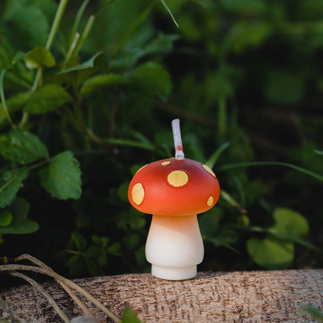 Mini Mushroom Candle Set – Southlake gifts