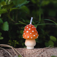 A cute little mushroom to bring decoration to your life.