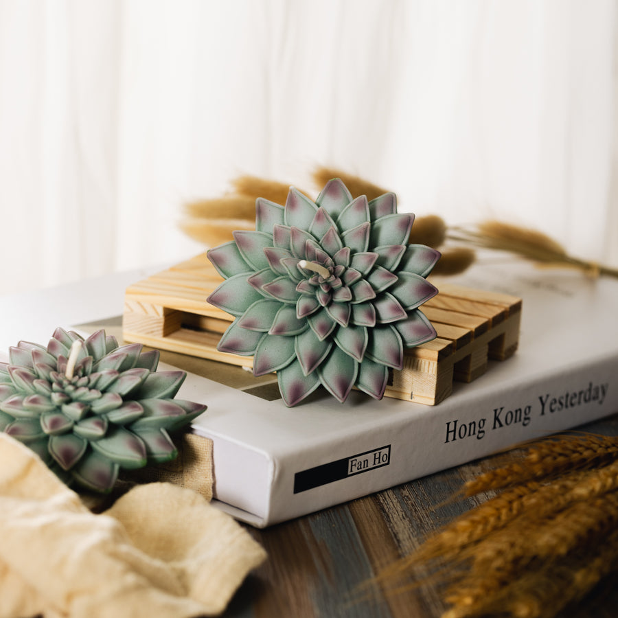 candle succulent plant Realistic Succulent Candle – Southlake gifts