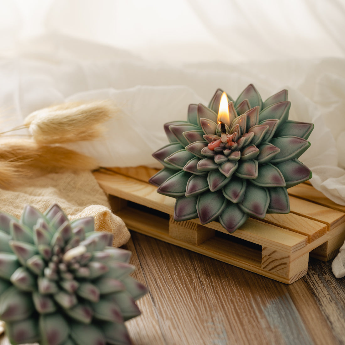 The art of Realistic Succulent Candle creating a perfect atmosphere to your home.