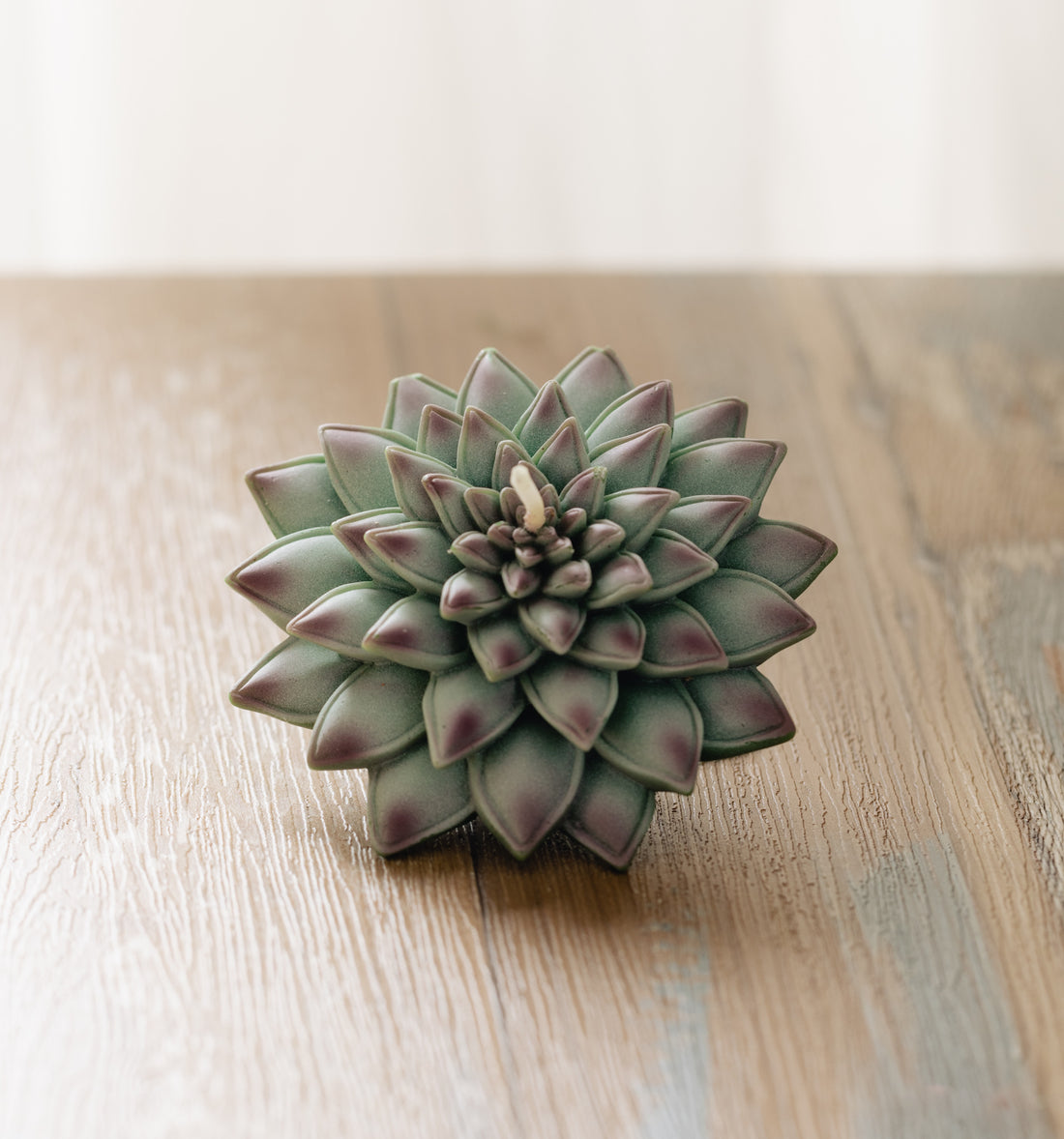 The beauty of Realistic Succulent Candle from Southlake Gifts.