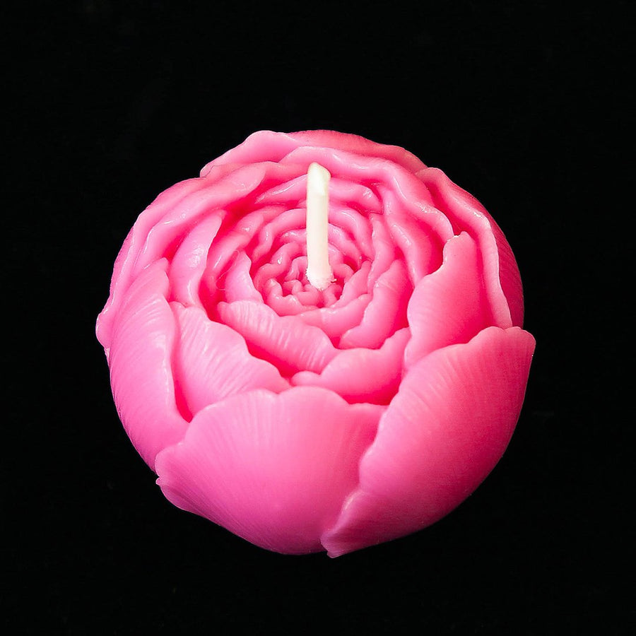 Discover the power of fragrance with this Pink Peony Candle.
